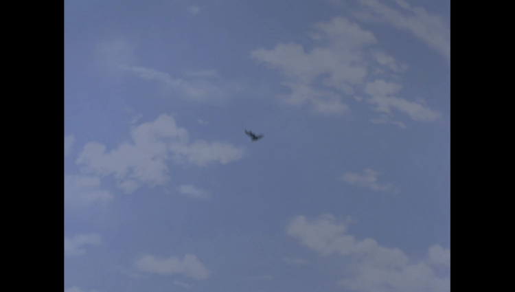 TrappedInTheSky00258