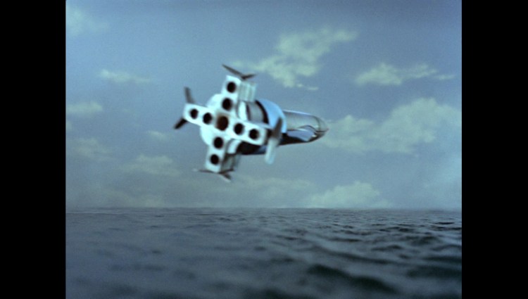 terrorinnewyorkcity00509