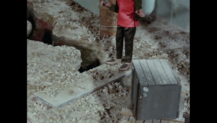 terrorinnewyorkcity00899