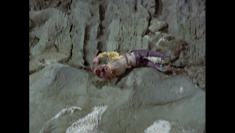 terrorinnewyorkcity00936