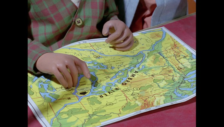 attackofthealligators00980