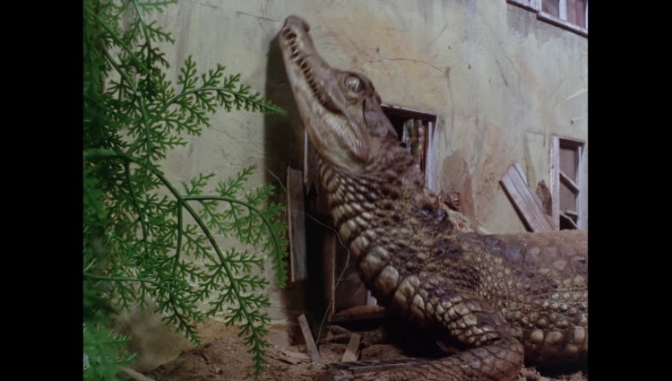 attackofthealligators01054