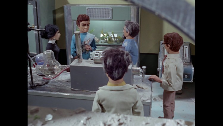 attackofthealligators01129