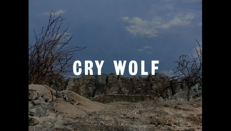 CryWolf00052.jpg