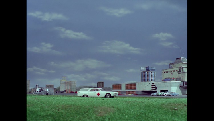 aliasmrhackenbacker00022