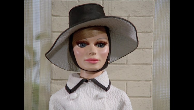 AliasMrHackenbacker00285