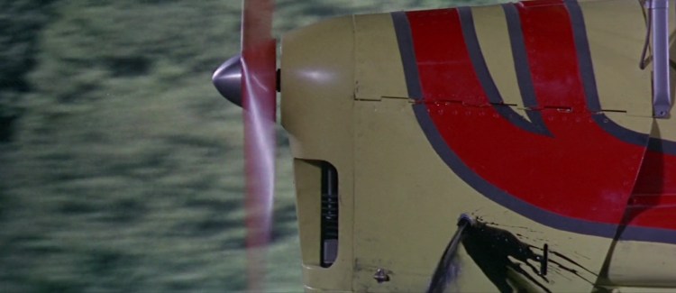 Thunderbird603788.jpg