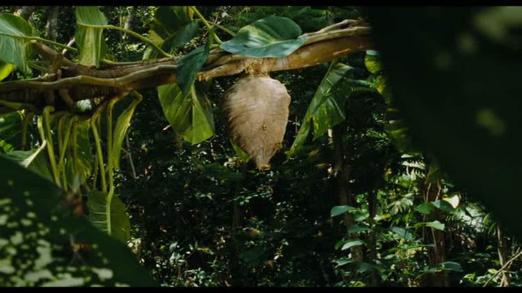 Thunderbirds2004_01324