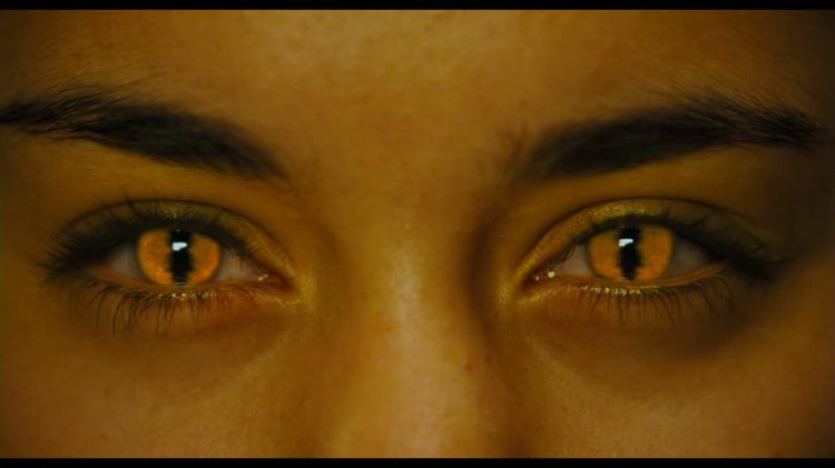 Thunderbirds2004_02526