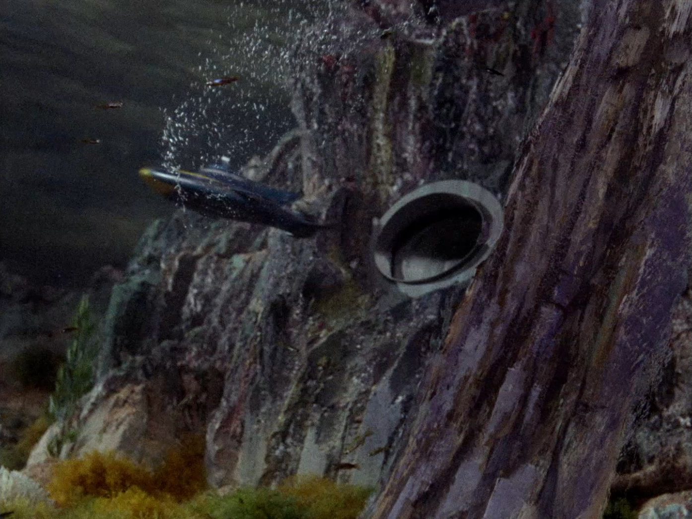 Stingray Is Launched!